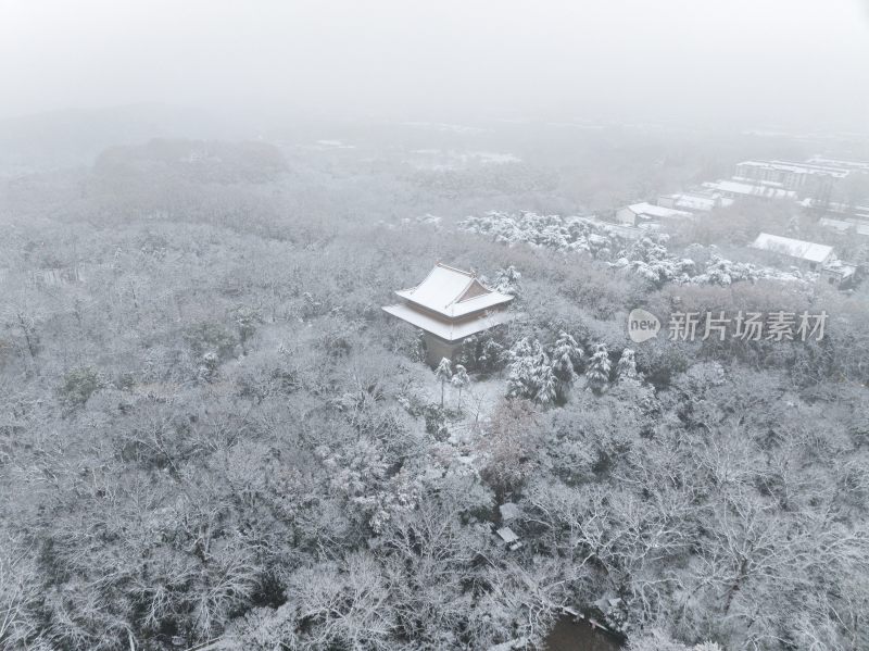 南京明孝陵雪景