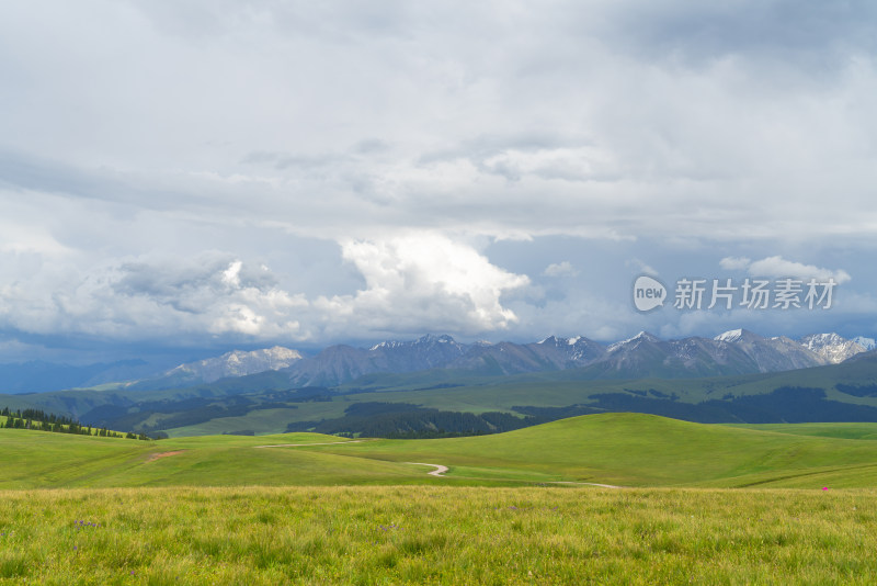 中国新疆伊犁喀拉峻大草原自然风景