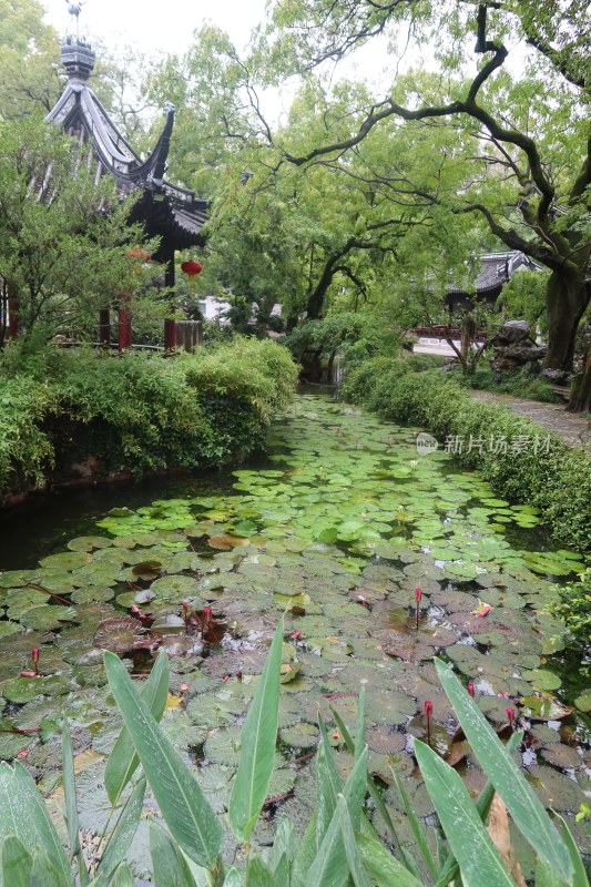 上海市国家4A级旅游景区古猗园风景