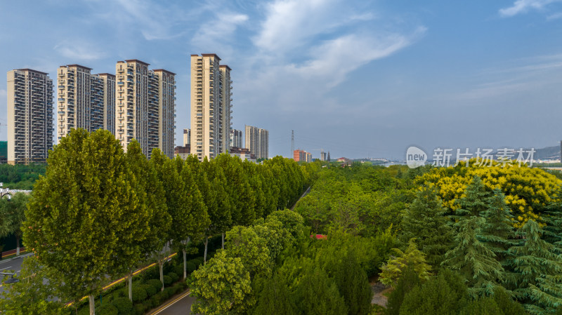 城市天际线楼房居住生态环境河流天空全景图