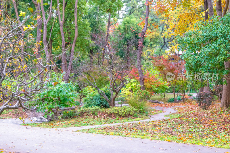 南京钟山风景名胜区明孝陵风景