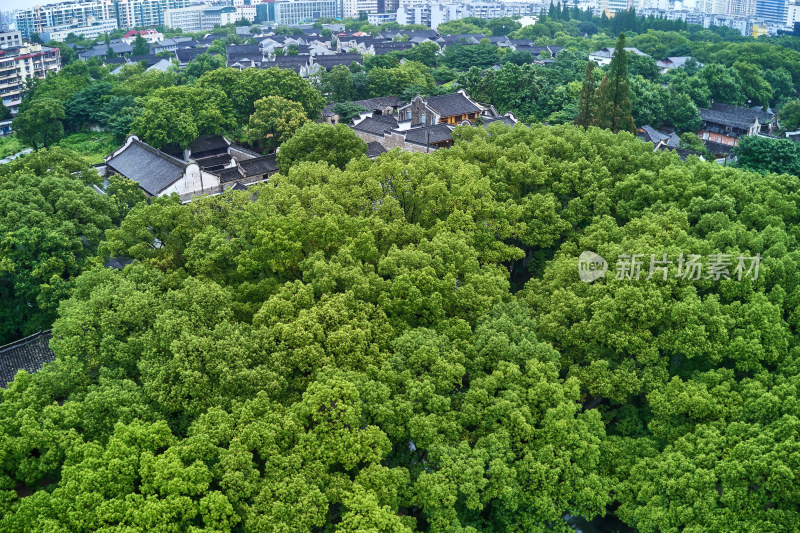 清晨时分的月湖公园