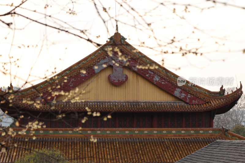 古色古香的传统中式建筑屋顶