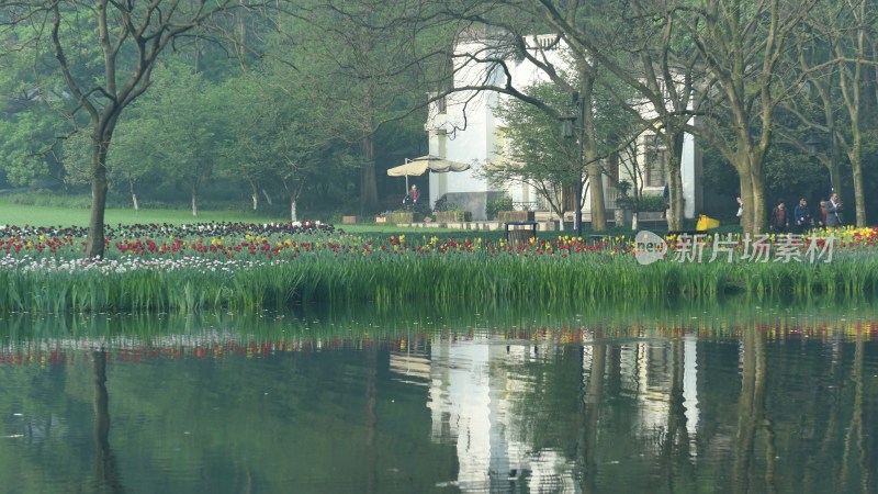 杭州西湖太子湾公园风景