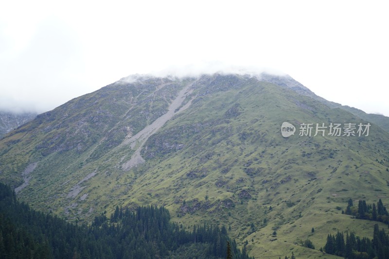 四川阿坝藏族羌族自治州四姑娘雪山风貌