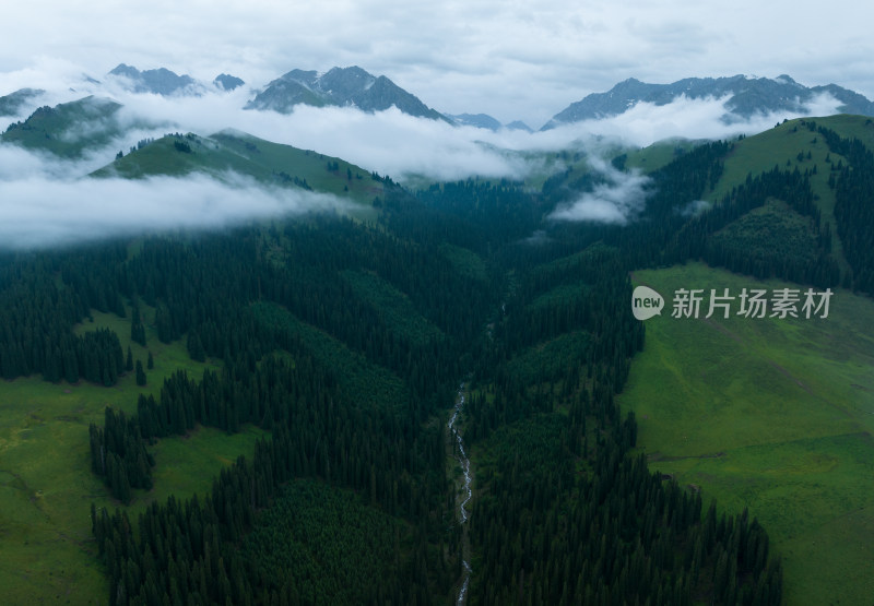 航拍夏季新疆恰西森林公园风景