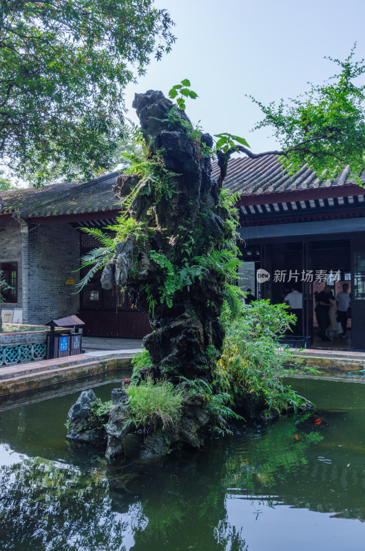 佛山顺德清晖园传统中式园林水景