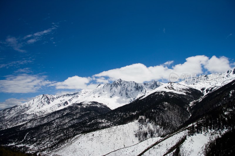 白马雪山