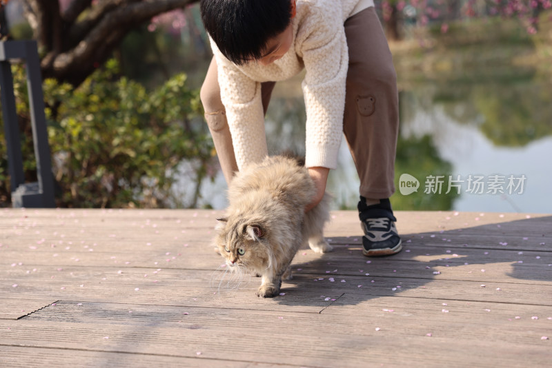 一个小男孩与宠物猫互动的温馨场景