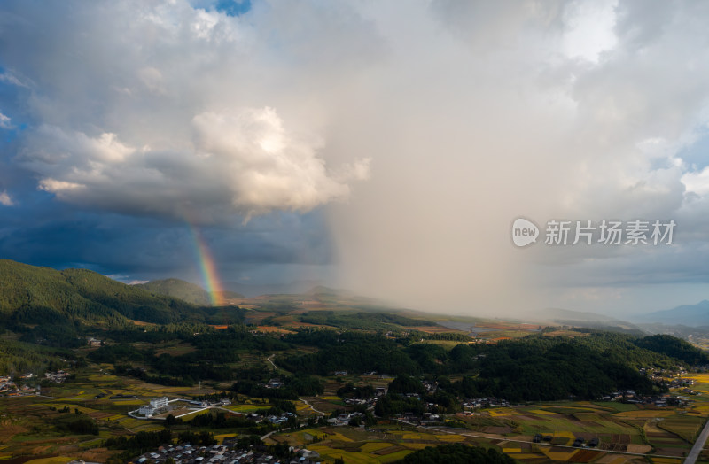 金黄大地上的雨和彩虹