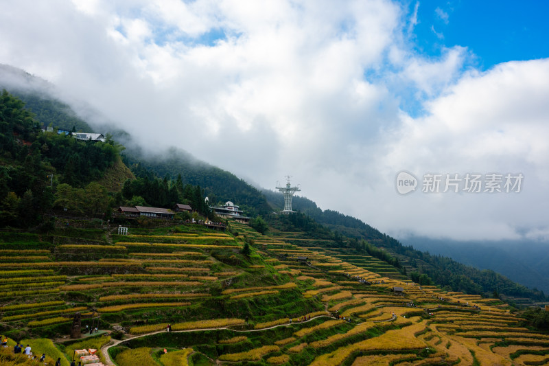 浙江丽水云和梯田景区风光