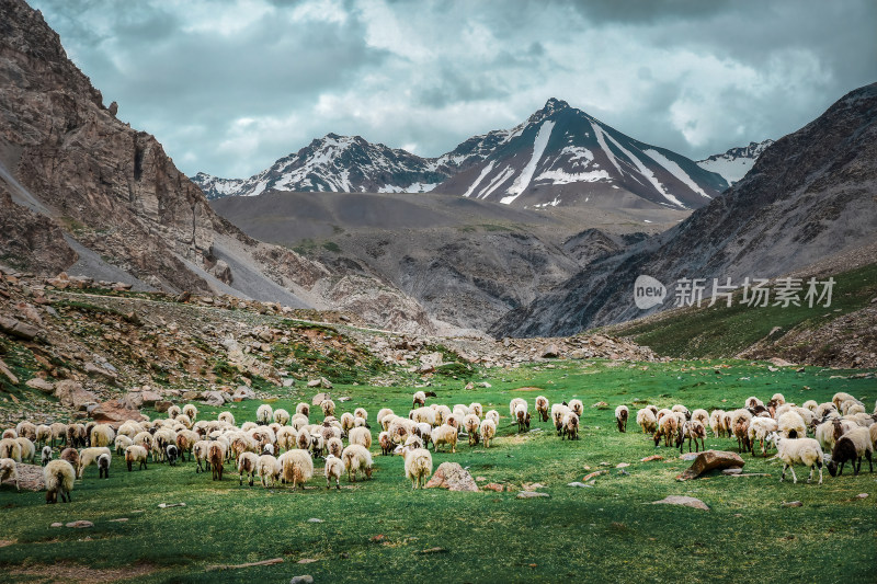 岗什卡雪山风景