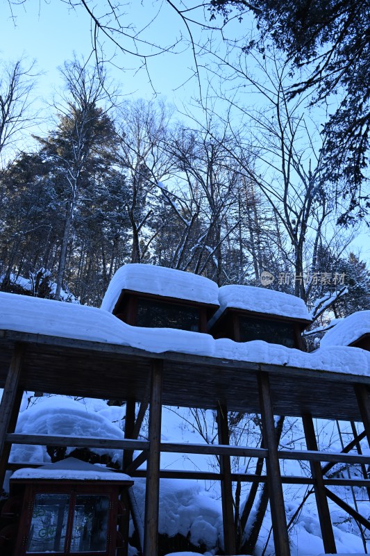 积雪覆盖的木屋，周围树木林立