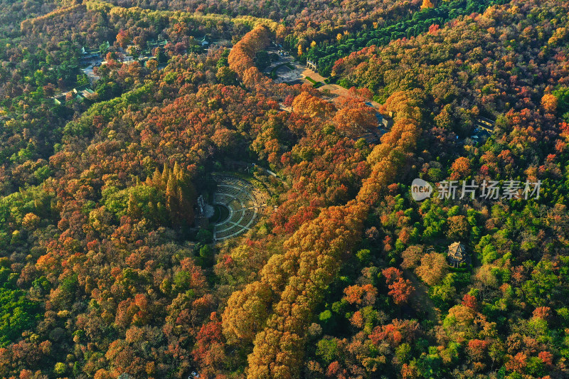 南京钟山的秋天美景