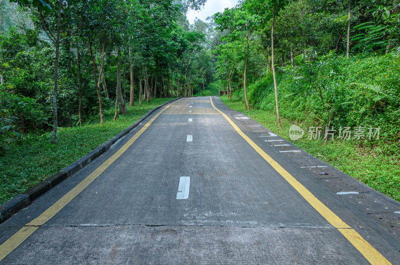 深圳银湖山郊野公园盘山公路景观