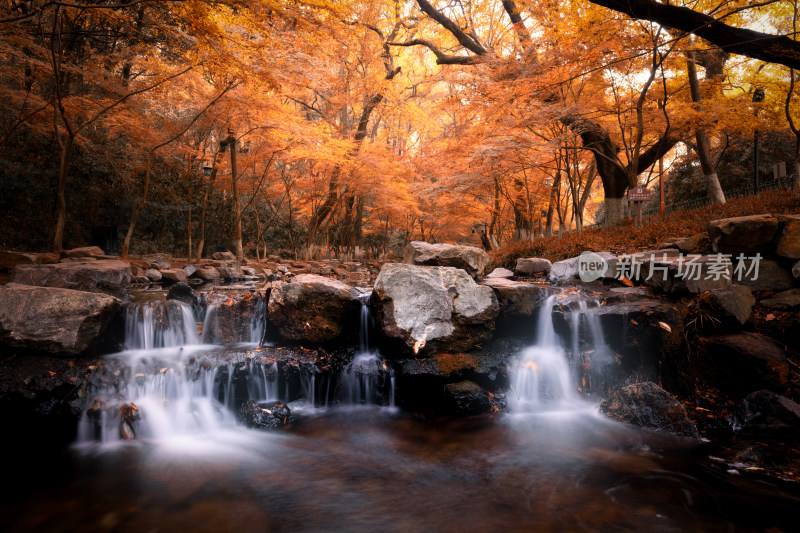 杭州九溪林中水流淌过岩石的唯美自然景象