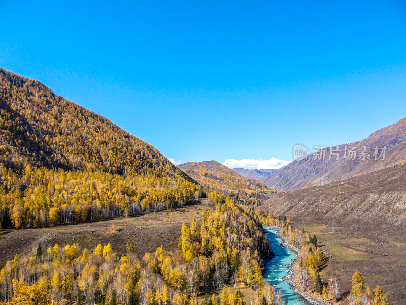 喀纳斯河风景