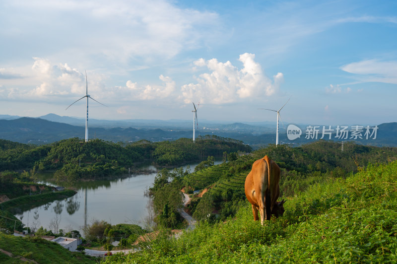 风车山山顶壮丽山河画圈