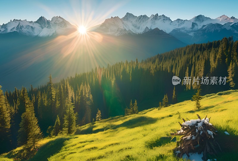 雪山高原草原森林风景