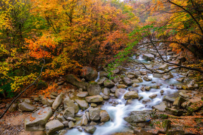 四川光雾山溪流风光