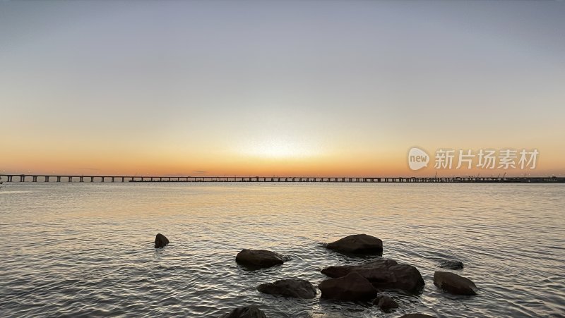 深圳红树林公园景观海边