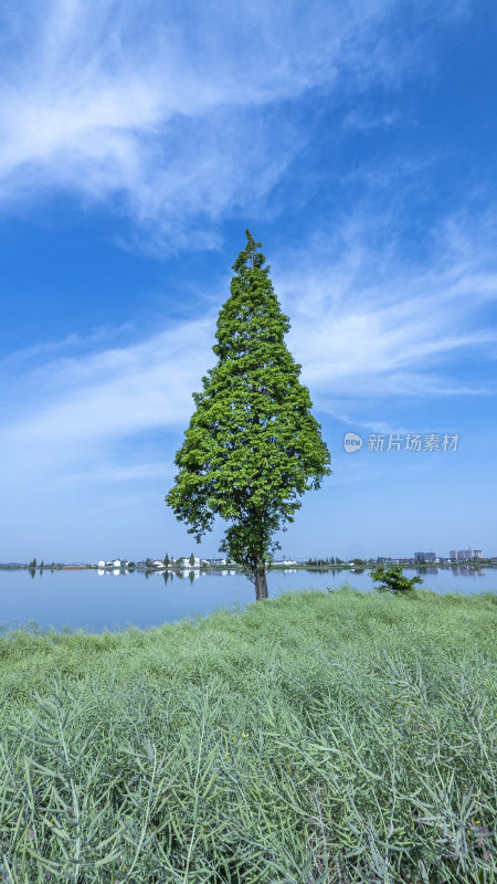 绍兴江南水乡东鉴湖风景