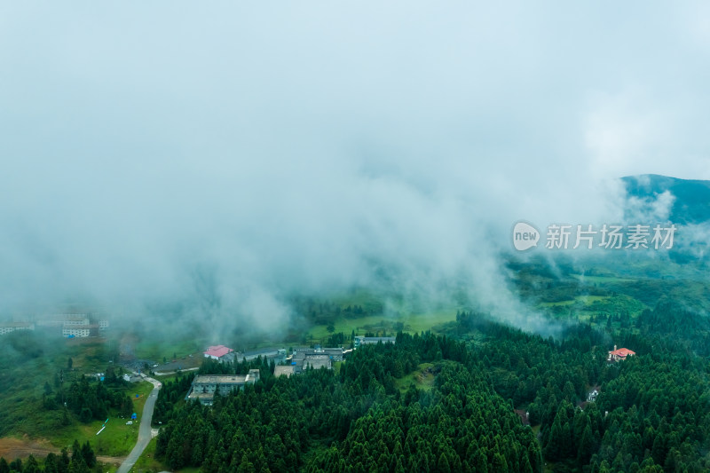 重庆武隆仙女山森林公园