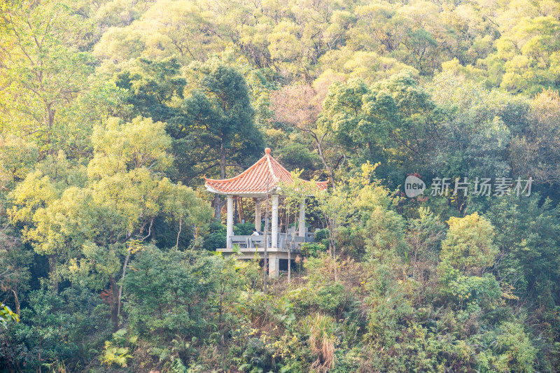 广东省深圳市罗湖区仙湖植物园内弘法寺