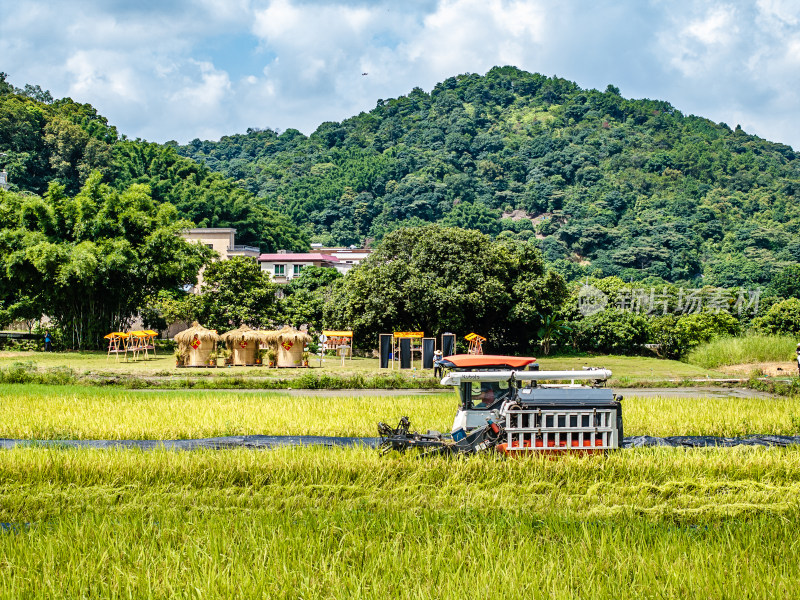 中国广东省广州市白云区太和镇白山村稻田