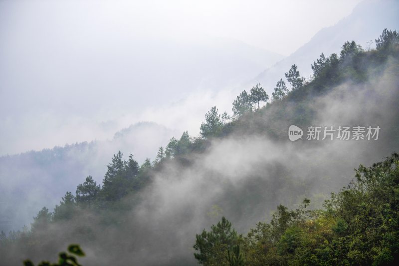 重庆酉阳：暮秋绵雨晨雾浓