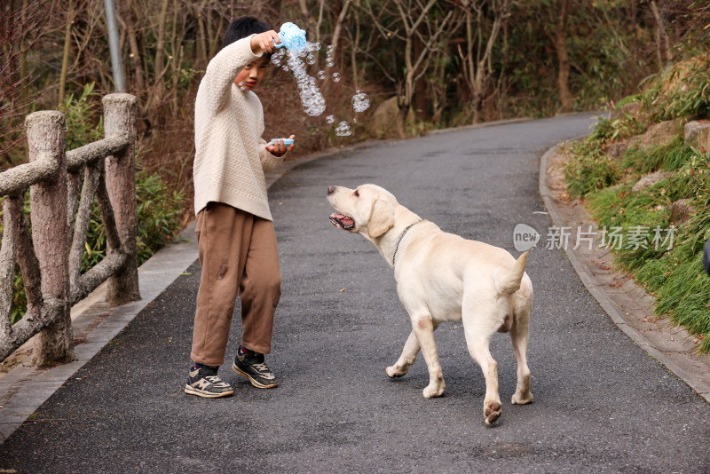 一个中国小男孩和他的宠物拉布拉多犬