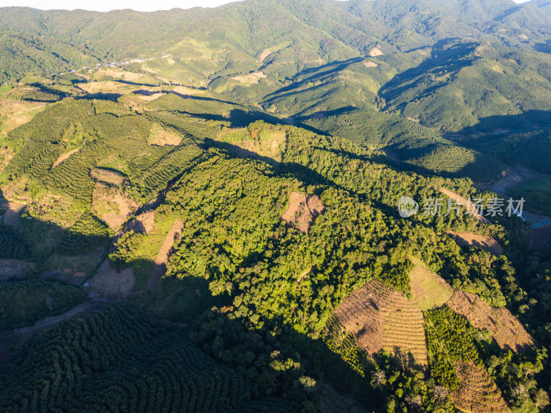 航拍视角下的大片绿色山林山脉全景