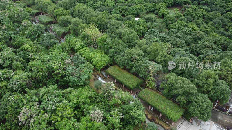 广东东莞：银瓶山森林公园清溪景区