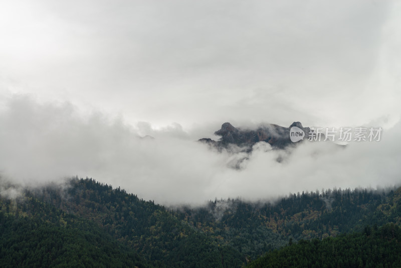 云雾中的森林山峰虎头山