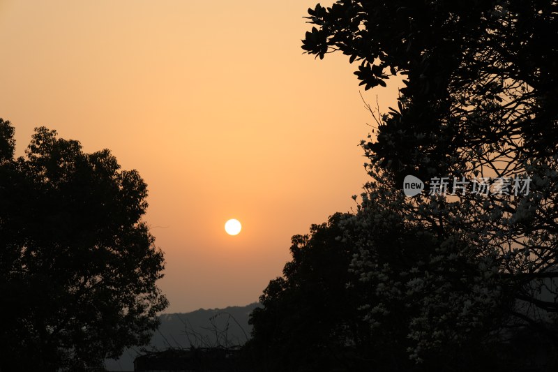 夕阳下树木与远山景观