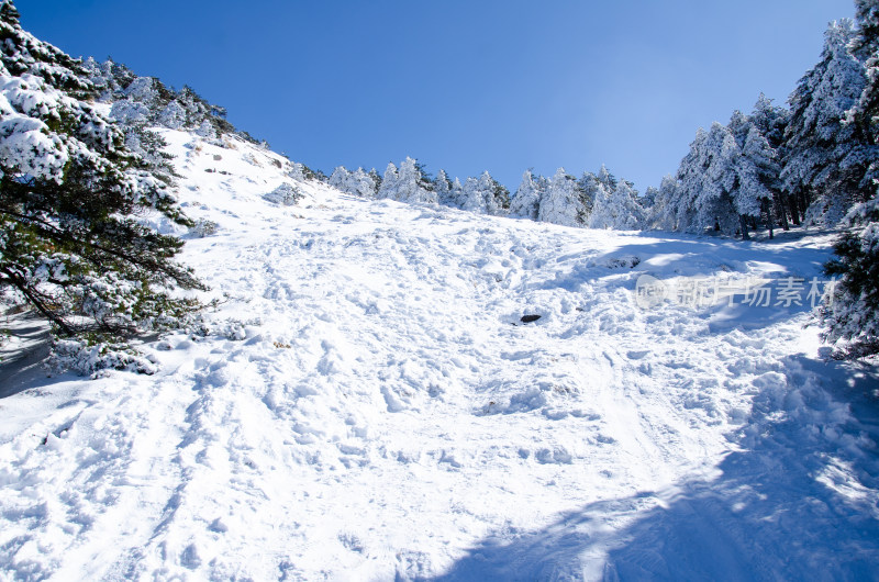 冬季黄山风光