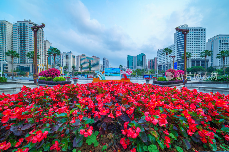 南宁金湖广场鲜花与CBD摩天大楼地标建筑