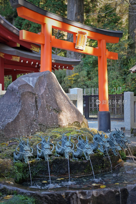 日本箱根神社，九头龙神社