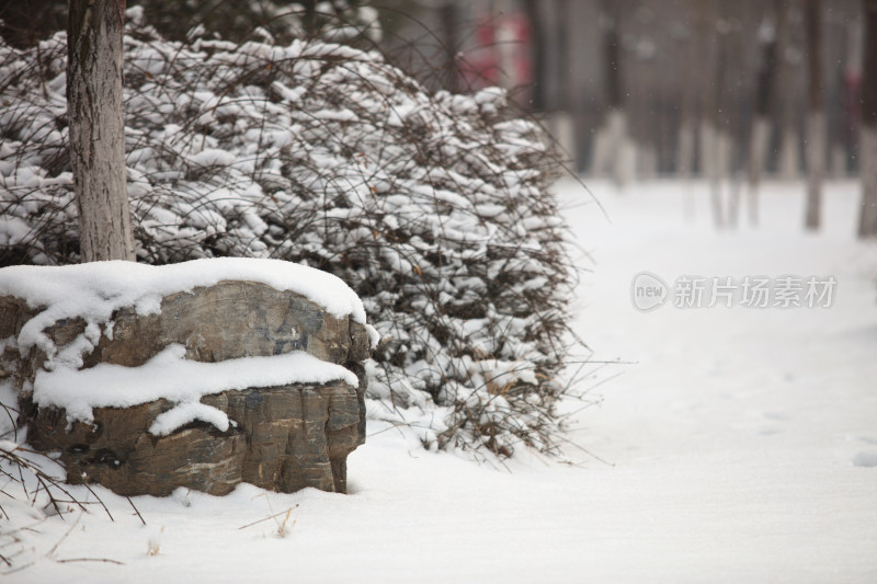 安静的雪后场景在户外