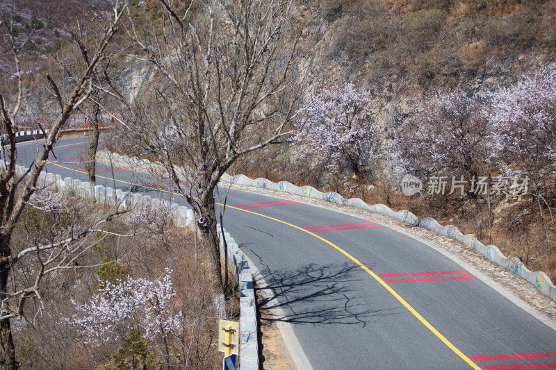 北京昌平网红公路昌赤路在春天