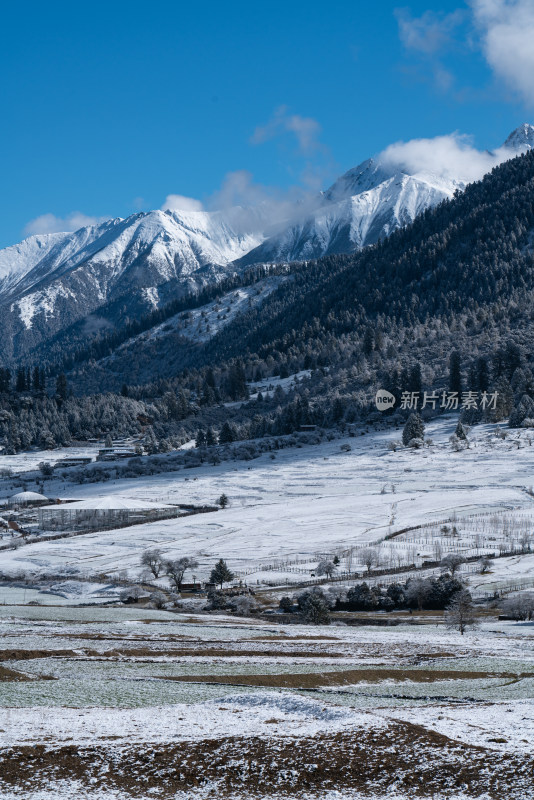 冬天雪后的西藏林芝鲁朗镇田园风光