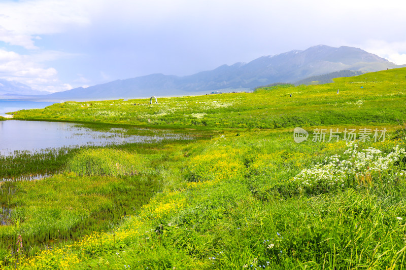 春天诗与远方治愈风景