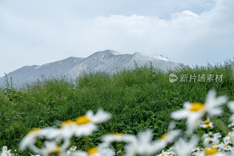 新疆博尔塔拉赛里木湖景区