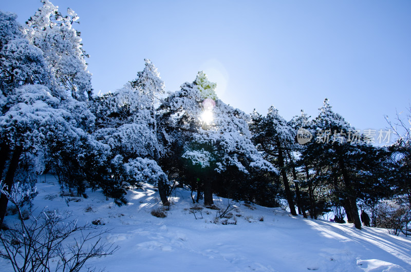 冬季黄山风光