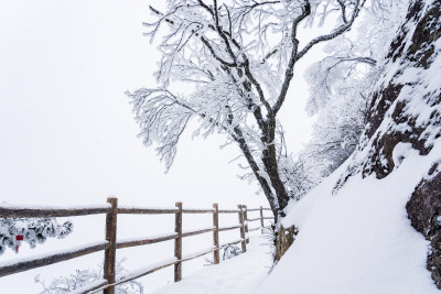 冬天大雪景区步道栏杆