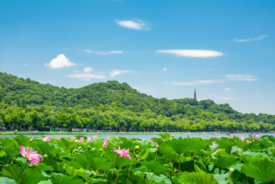 杭州西湖夏天风光