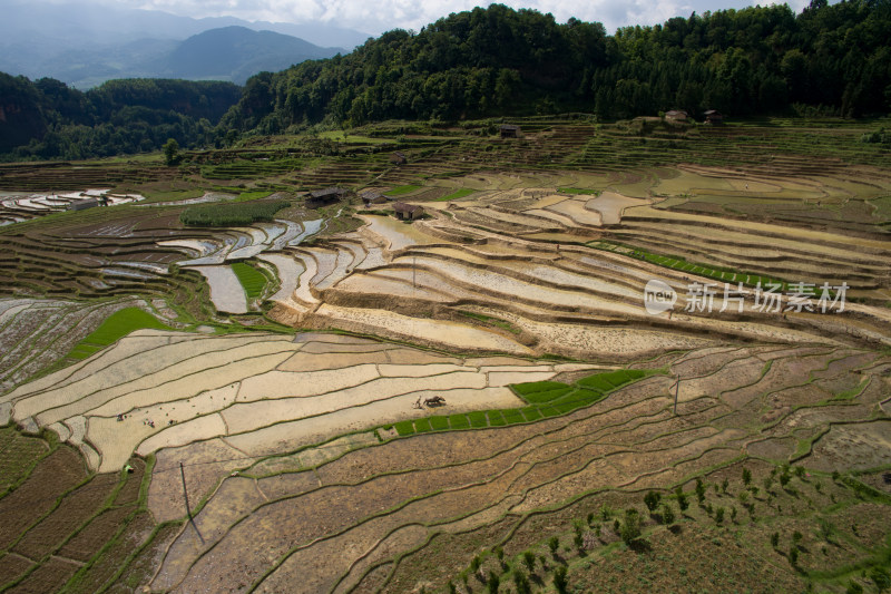 山间梯田风光