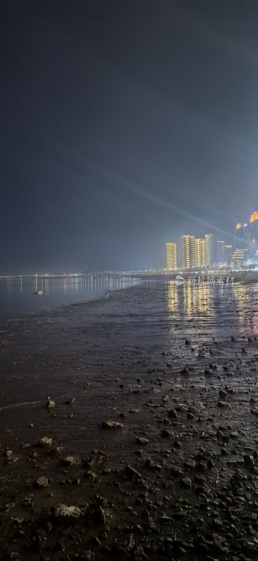 夜晚海边的城市建筑景观