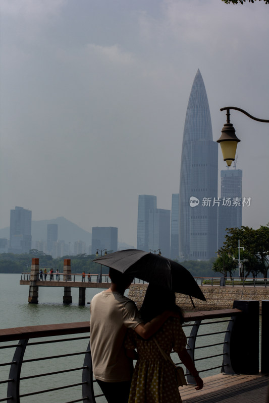 深圳湾公园漫步城市湖畔