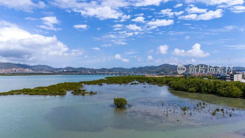 惠州盐洲海洋湿地公园-红树林湿地风光